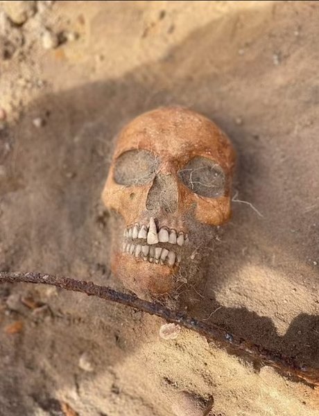 Скелет, серп, Пьен, вампиры, вампирка, убить вампира, захоронение вампира, могила вампира, польский вампир, женщина вампир, Могила вампира в Польше