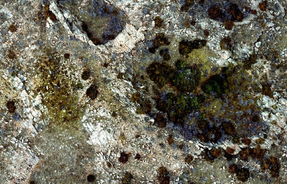 Фото: Kent Sandler, Casper College