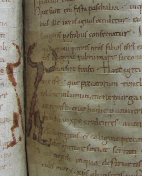 книга, печенье, закладка, кембриджский университет, библиотека, находка