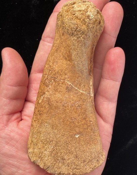 кость кость, рука, ладонь, фото