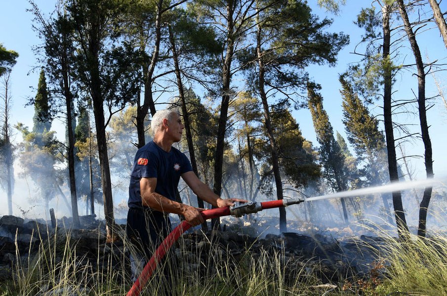 пожар в Черногории, лесной пожар