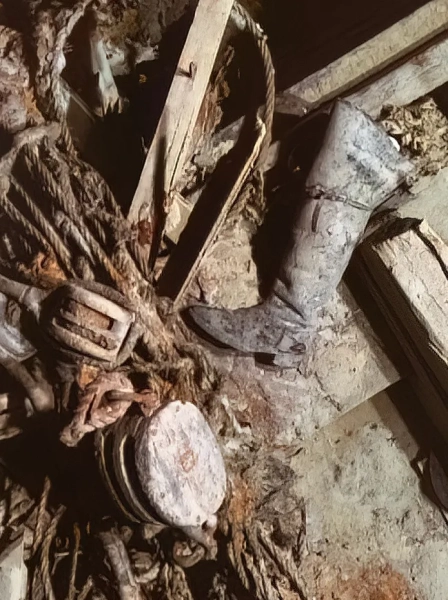 Зображення та 3D-скани увійшли до майбутнього документального фільму фотографія, експедиція, скан, корабель, море, Антарктида, острів, виживання, історія, дослідження, екіпаж, порятунок