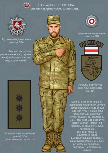 Знаки различия БОА