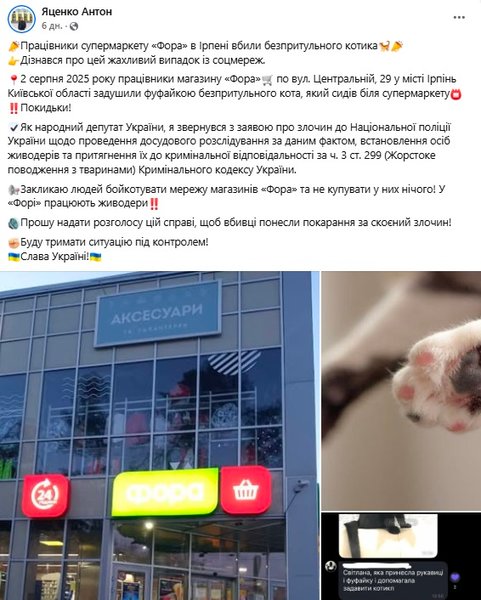 убийство кота Бегемота в Ирпене