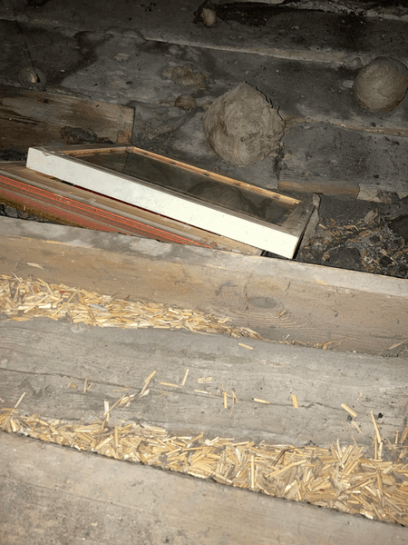 Горище, таємна кімната, потайна кімната, не знав 25 років, незвичайна знахідка, налякав людей, соцмережі, курйози, старі речі