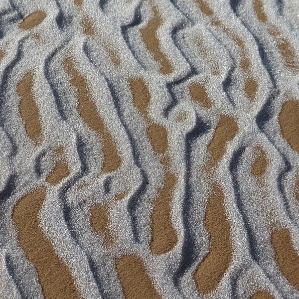 Сахара, Пустыня, Снег, Иней, Верблюды, Фотограф