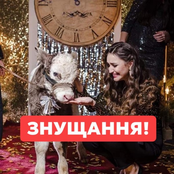 Oriflame, Животные, Фотосессия, Корпоратив, Теленок