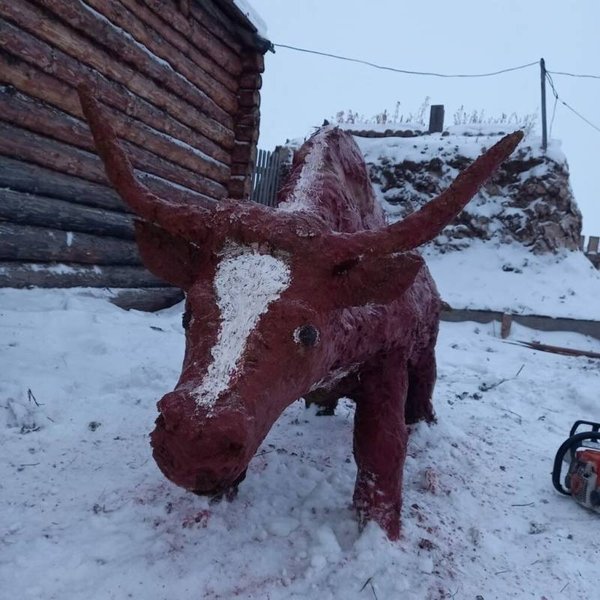 бык, навоз, Якутия