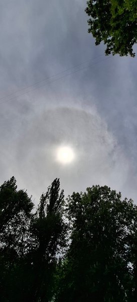 Гало у Києві 8 травня Гало у Києві 8 травня