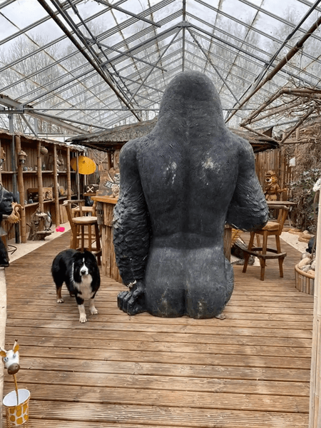 Горила, горила Гаррі, статуя горили