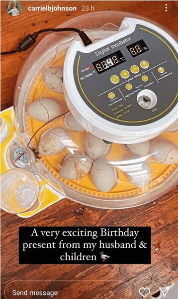 подарок, инкубатор, яйца