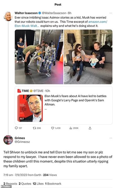 илон маск, шивон зилис, близнецы