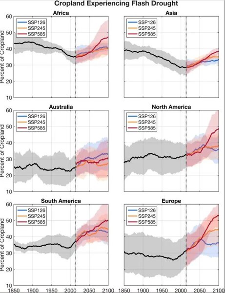 климат жара засуха
