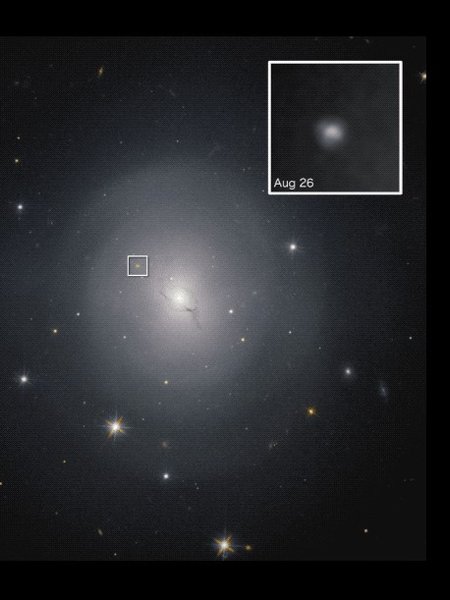 галактика NGC 4993, кілонова