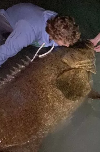 Риболовля, рибина, рекорд, США, курйози, школяр, рідкісна риба, фото