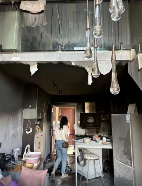 Кіт випадково підпалив будинок Кіт випадково підпалив будинок, кіт, житло, будинок, лофт, підпалив кухню, кіт працює, наступив на індукційну плиту, стрім, пряма трансляція, соцмережі, господиня житла