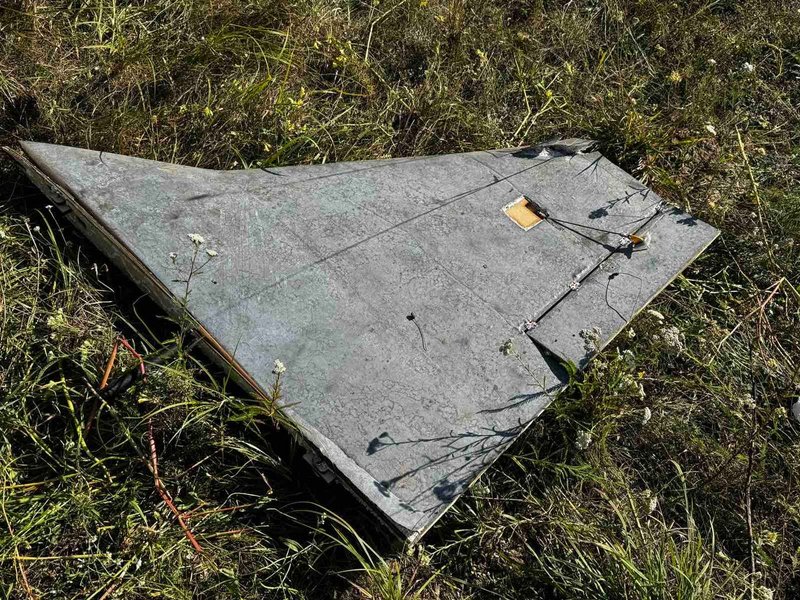 Дрон Гербера