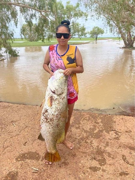 крокодил, девушка, поймала