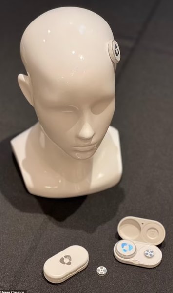 чип на голові