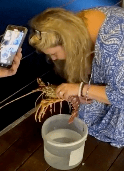 Турист спаси омар Турист спаси омар, омар, поръча омар, пусна го в морето, изненада готвачите, спаси животно