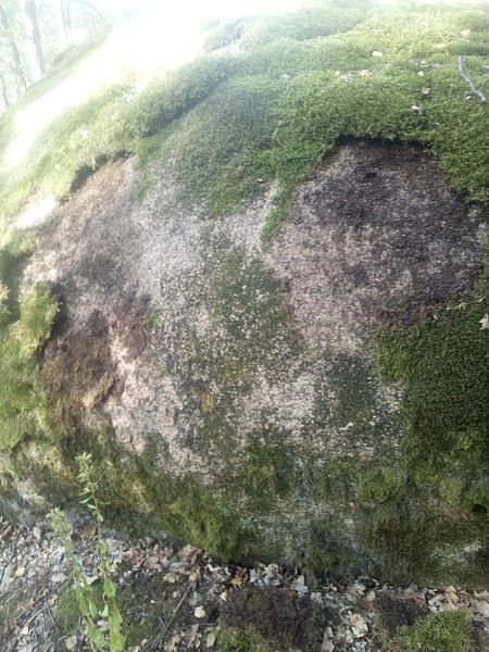 житомир мох 3