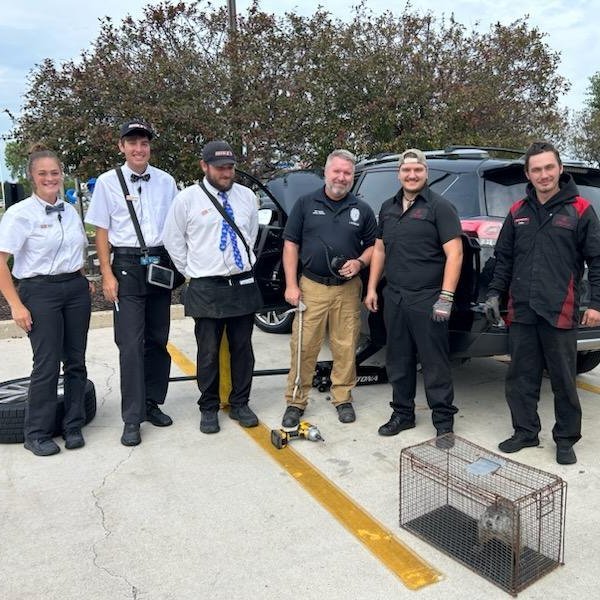 Сурок в Сурок в машине, сурок в бампере, птица в радиаторе, автомойка, сотрудники магазина, служба по контролю за животными, сурок