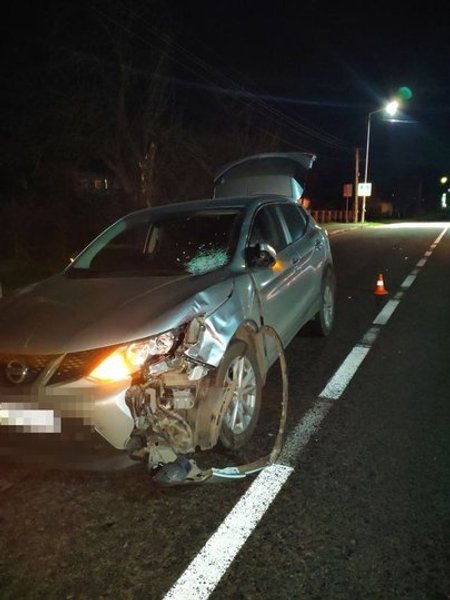 Петр Нестеренко-Ланько, авария, смерть