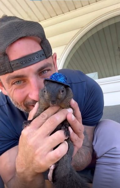 Марк Лонго, Пінат, білка, фото