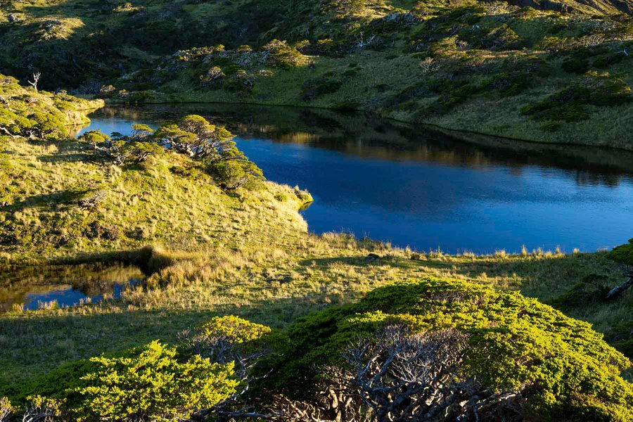 виргинский остров, патагония, частный остров, остров на продажу, чили