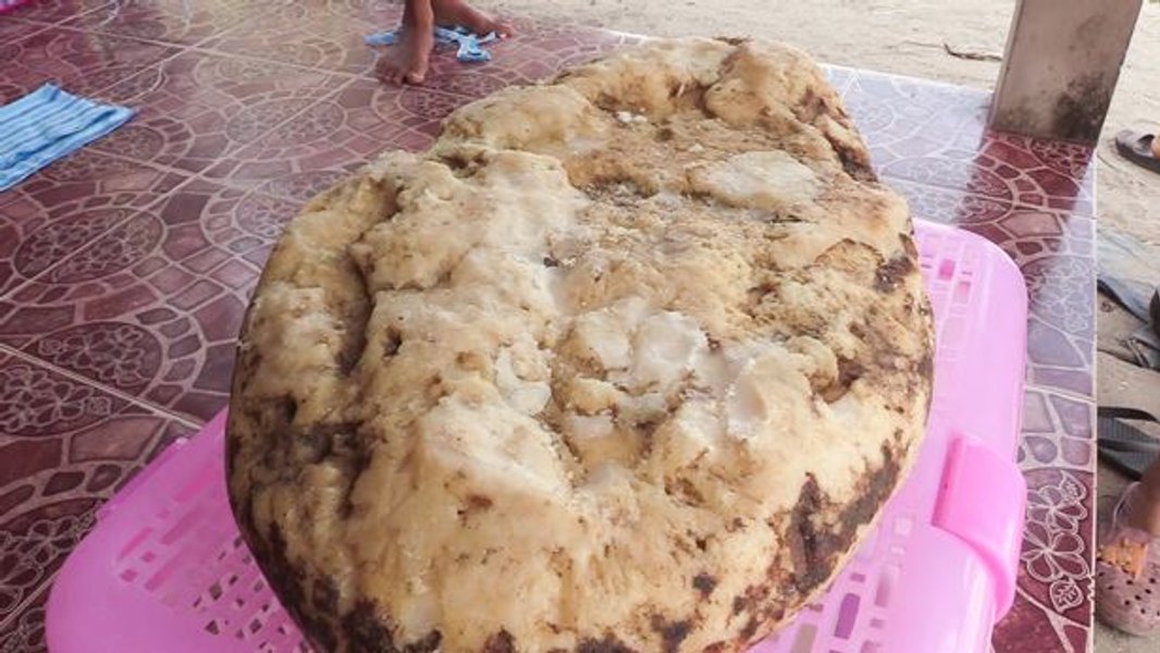 серая амбра, китовое золото, Таиланд, находка