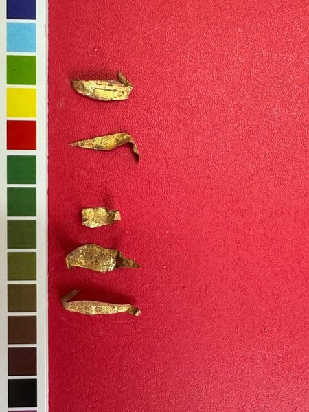 археологи нашли фрагменты золотого украшения