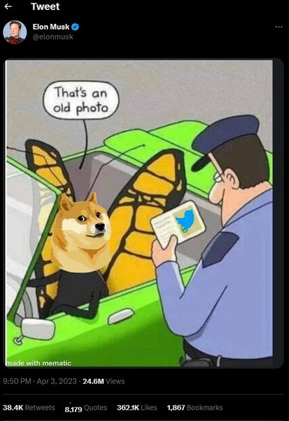 Twitter, Ілон Маск, Dogecoin, фото