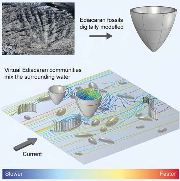 океан земля жизнь