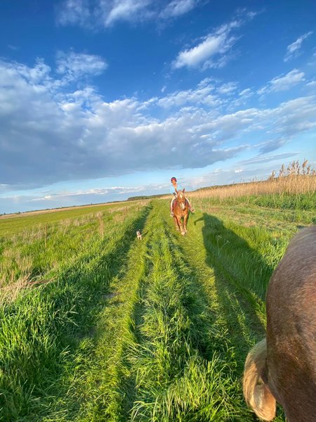 Прогулянка верхи мальовничими місцями