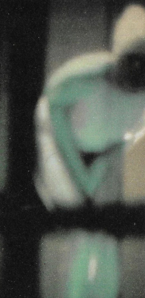 Чоловік думає, що сфотографував інопланетянина Чоловік думає, що сфотографував інопланетянина, знімки прибульців, НЛО, позаземні істоти, знімки професора,