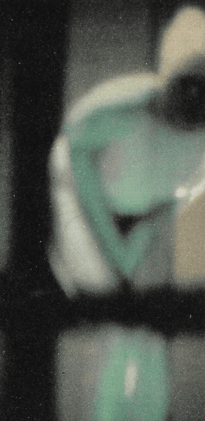 Мужчина думает, что сфотографировал инопланетянина, снимки пришельцев, НЛО, внеземные существа, снимки профессора,