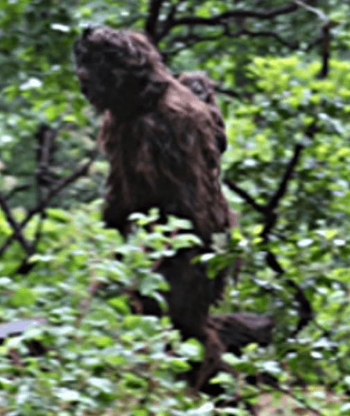 Снежный человек, йети, снежный человек с детенышем, снежный человек в лесу, детеныш на спине, качественные снимки,