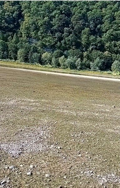 омеление реки Днестр вблизи Залещиков