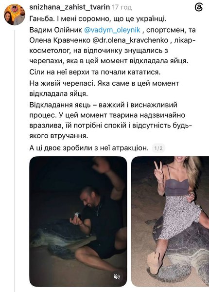 Украинцы издевались над черепахой в Омане