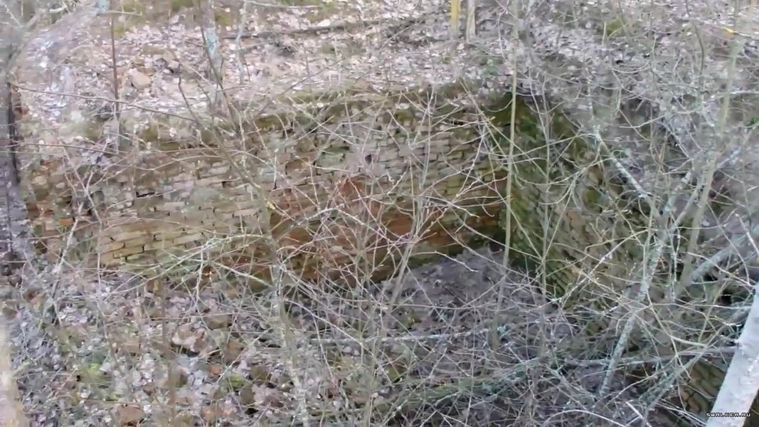 Состояние базы на 2017 год