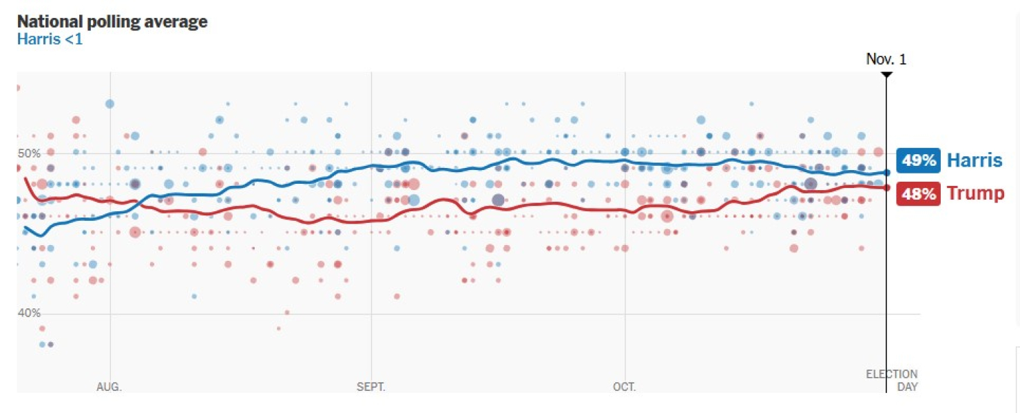 Выборы президента США 2024, избиратели США, распределение голосов, позиции