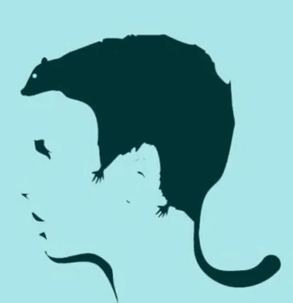 Оптична ілюзія, тест, тест особистості, потаємні страхи, страх, що бачить людина, профіль людини, гризун, психологія