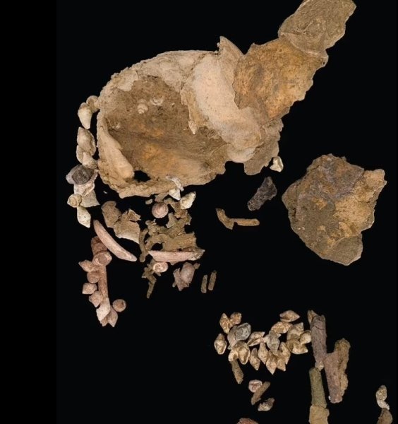 останки от бебешка кост кости, останки, бебе, древно погребение