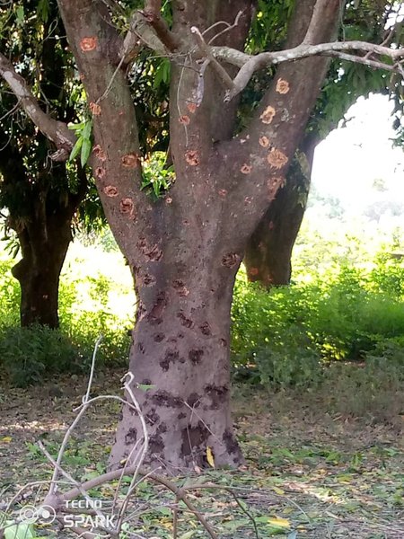авианалет цар, цар, база чвк вагнера, бомбардировка базы чвк вагнера