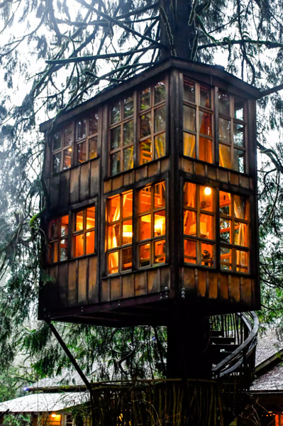 Домики на дереве в США, отель Treehouse Point, домики посреди леса, интерьеры, уникальные локации, путешествия, туризм