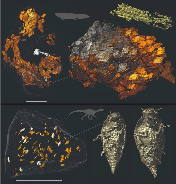 динозаври, скам'янілість динозаврів, динозаври копроліти