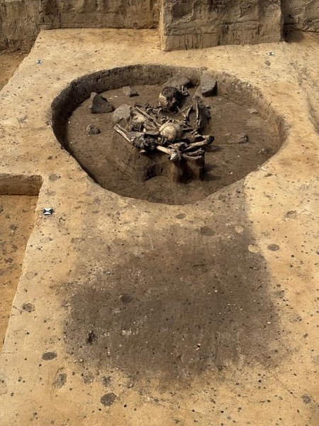 ученые нашли останки собак и людей