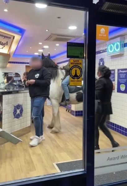 Мужчины привели в магазин своих лошадей, зачем они это сделали, курьезы, случай в австралийском магазине, курьезы