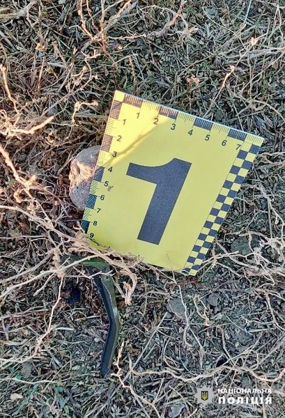 Одесская область, граната, взорвал гранату, полиция, микроавтобус