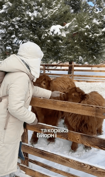 Семейная ферма